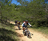 Bild 15 zur MTB 4days_luberon Reise