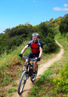 Bild 8 zur MTB elba Reise