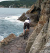 Bild 15 zur MTB elba Reise