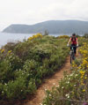 Bild 18 zur MTB elba Reise