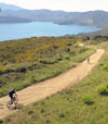 Bild 24 zur MTB elba Reise