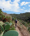 Bild 25 zur MTB elba Reise