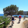 Bild 37 zur MTB elba Reise