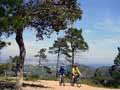 Bild 2 zur MTB provence Reise