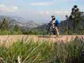 Bild 5 zur MTB provence Reise