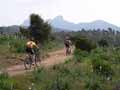 Bild 21 zur MTB provence Reise