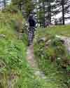 Bild 39 zur MTB singletrail2 Reise