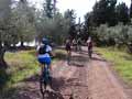 Bild 7 zur MTB toskana Reise