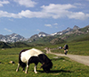 Bild 2 zur MTB transalp-mtb-go-west Reise