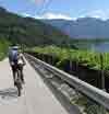 Bild 13 zur MTB transalp-mtb-suedtirol Reise