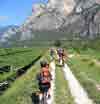 Bild 42 zur MTB transalp-mtb-suedtirol Reise